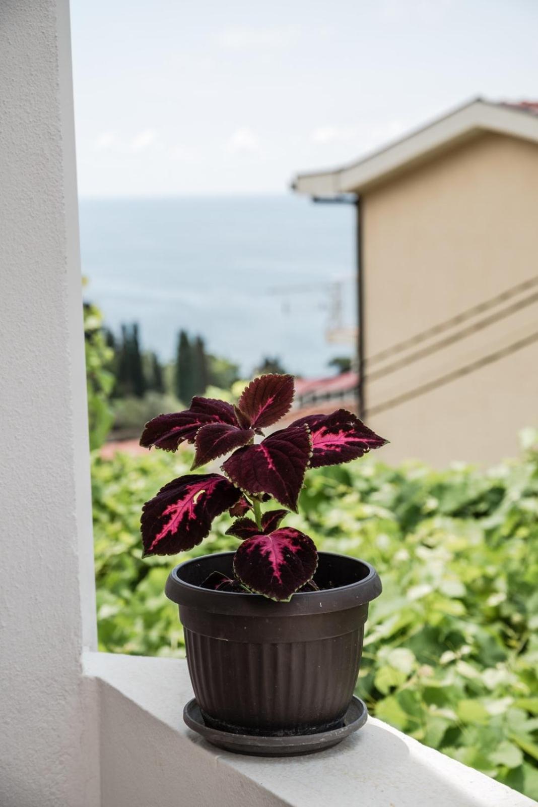 Adriatic Sea View Rooms Ulcinj Exterior photo